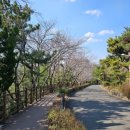 장무공원 화장실 이미지