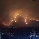 옥산면사무소 이미지