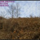 광대정천 네이버블로그