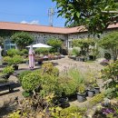 천국의 모습을 보여주는 교회(요한1서 4 : 7~11) 이미지