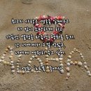 배곧중앙프라자 이미지
