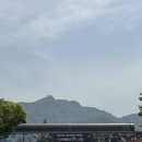 동물원 화장실 | [공지] 과천 서울대공원 리프트 동물원 패키지 후기 (대기시간·가격·이용꿀팁 총정리)