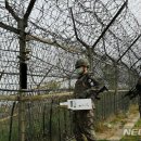 서욱 육군참모총장 "야생 멧돼지, DMZ 철책 넘어 내려오지 못해" 이미지