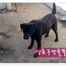 봄뜰에농장 이미지