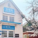 사랑의 하트 부탁드려요 ~~ 가볼만 한곳 원주 (유럽 풍의 아름다운 벚꽃 명소 떠나볼까요.) 이미지