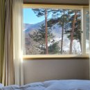 가족호텔 코스모스동 이미지