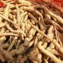 칠보농협옹동지소 | 숙지황으로 변하는 지황, 재배 요령 및 가공 상품