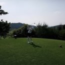 이인숙부동산 | 인셀덤서울본부에서 사업하면서 땅샀어요❣️나의사업 변천사