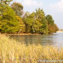 상수농장 이미지