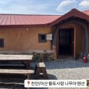 황토사랑나무야