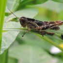 만나공원 이미지