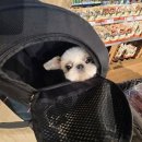 해뜨는 동물병원 해질녘책방 이미지