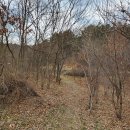 운학동 돌방무덤 이미지