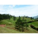 구례목장 이미지