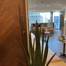 하나정신건강의학과의원 이미지