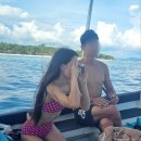 글로리팜 | 보홀 사우스팜 난파 경비행기 포인트