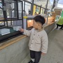 정동농장 | [세종] 정동체험마을 피자만들기, 목장 동물먹이주기 이용 후기