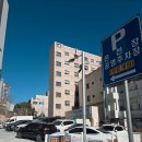 목화식당 | 온천동 맛집 목화기사식당 혼밥 후기(주차 상세 안내)