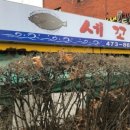 세꼬시집