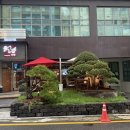 청담B | 우랑 청담이자카야 추천 청담술집에서 B세트 사시미와 스끼야끼 후기