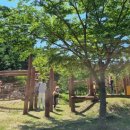 장성어린이공원 이미지