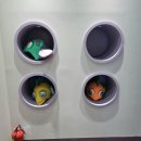 토속어류생태복원체험관 | 강원도화천여행 아이와가볼만한곳 토속어류생태체험관 후기