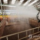 그늘막66 이미지