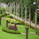 세인트 32 이미지