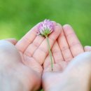 행정사사무소 너른 이미지