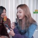 블랙팬시 이미지