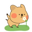 사직동약국 이미지