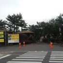 매화마트 이미지