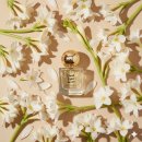 세븐에잇 | 🌸 봄향수추천 NO.1, 은은한 플로럴 데일리향수 클라우드 에잇 세븐 Gyeongbok 후기