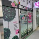 예쁜나무약국 이미지