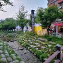 황부자+며느리 조형 | (지각 후기) 태백 황부자 며느리 야시장(2024. 7. 13.)
