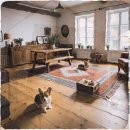 은빛동물병원 | 용인시 강아지분양 토이푸들 새 식구를 데려오고 일주일 만에 느낀 책임감