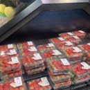 (주)제이제이미디어웍스 | 26년 1월 어디갔어 하매 순삭이가