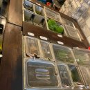 더까망돼지 | 내돈내산 제주 까망돼지 후기 - 중문 파르나스, 롯데호텔, 중문 신라호텔 근처 흑돼지 숯불구이 맛집