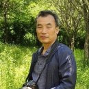 [박홍재 시인의 렌즈로 보는 풍경 그리고 길] (26) 무소유 법정 스님 향기를 찾아 - 불일암과 선암사를 가다 이미지