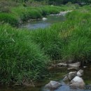 현대 민박 이미지