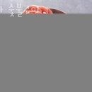 루프탑287 이미지