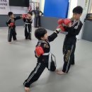 용인대서림합기도 이미지