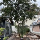 옥토상사 이미지