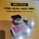 메밀당 벨라시타