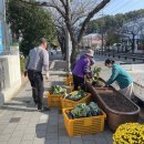 봉평동행정복지센터 이미지