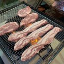 늘푸른숲 이미지