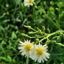 느림의 미학 924 왕(王)이라는 이름의 무게 이미지