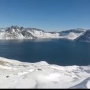 천지 카카오 검색결과