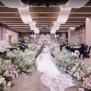 보코서울강남 이미지