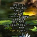 여우곰 낙서장 5 이미지